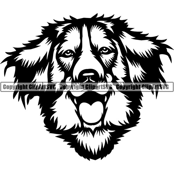 Kooikerhondje Dog Breed Head Face ClipArt SVG 001
