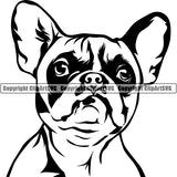 French Bulldog Dog Breed Head Face ClipArt SVG 004