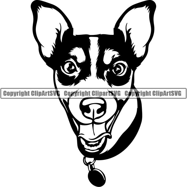 Jack Russell Terrier Dog Breed Head Face ClipArt SVG 002