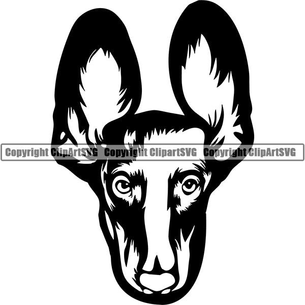 Animal Dog Dachshund Dog Breed Head Face ClipArt SVG 004