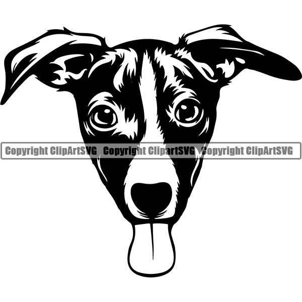Jack Russell Terrier Dog Breed Head Face ClipArt SVG 010
