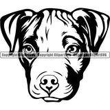 Pit Bull Dog Breed Head Face ClipArt SVG 030