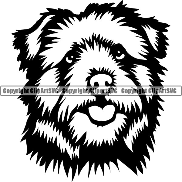 Norfolk Terrier Dog Breed Head Face ClipArt SVG 001