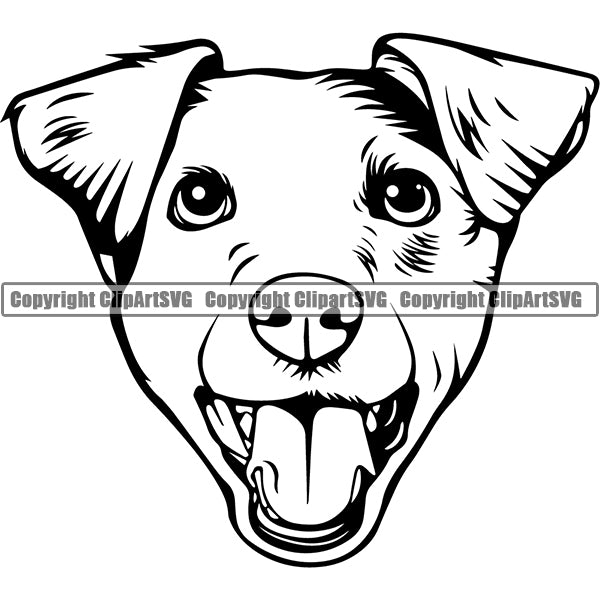 Jack Russell Terrier Dog Breed Head Face ClipArt SVG 004