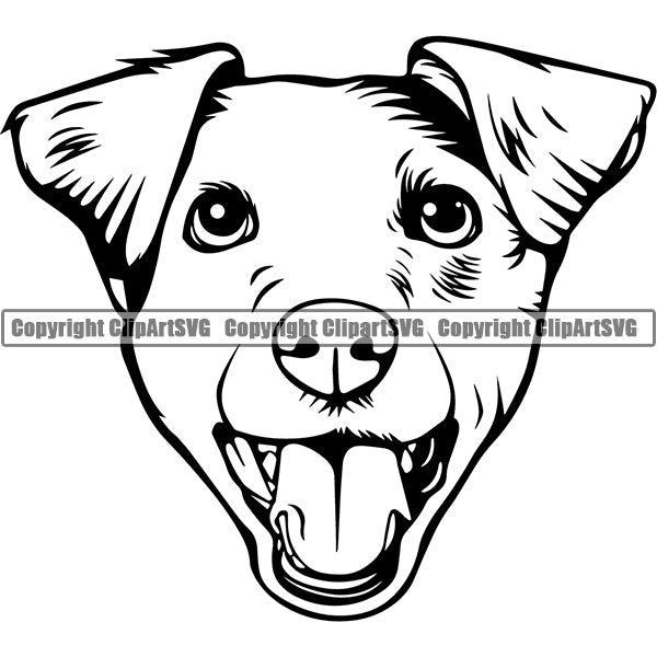 Jack Russell Terrier Dog Breed Head Face ClipArt SVG 004