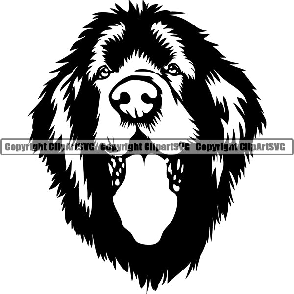 Newfoundland Dog Breed Head Face ClipArt SVG 003