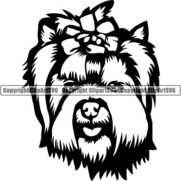 Yorkshire Terrier Dog Breed Head Face ClipArt SVG 002