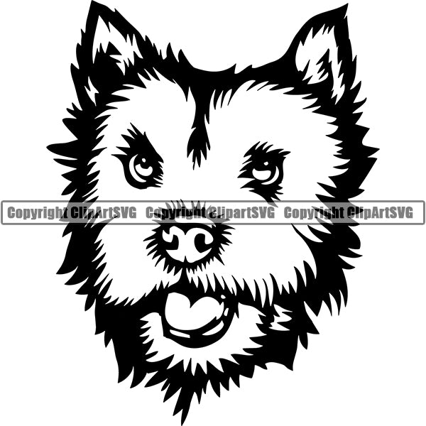 Norfolk Terrier Dog Breed Head Face ClipArt SVG 002