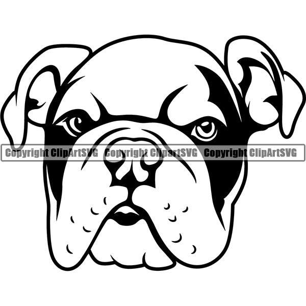 Animal Dog English Bulldog Dog Breed Head Face ClipArt SVG 006