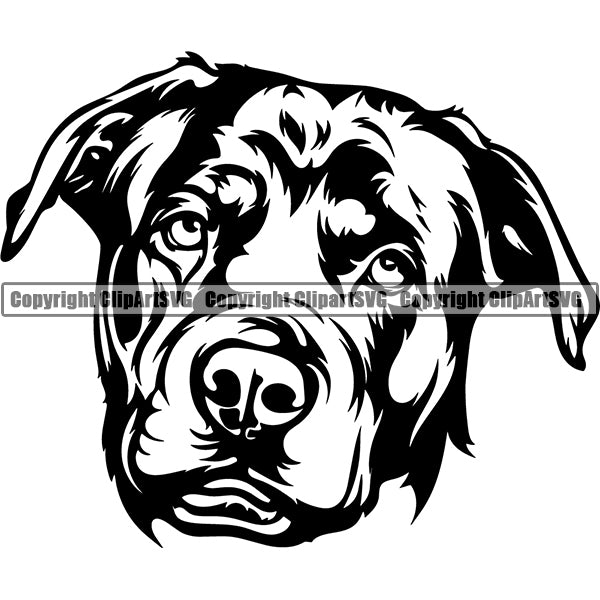Rottweiler Dog Breed Head Face ClipArt SVG 001