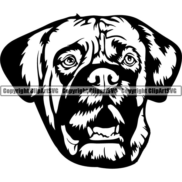 English Mastiff Dog Breed Head Face ClipArt SVG 001