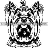 Yorkshire Terrier Dog Breed Head Face ClipArt SVG 011