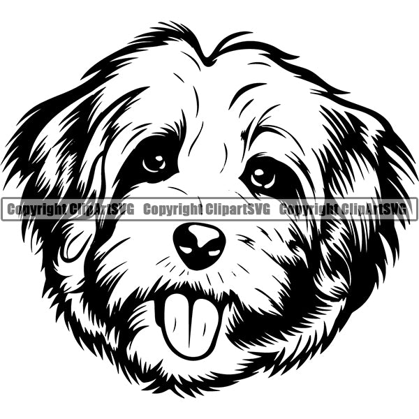 Havanese Dog Breed Head Face ClipArt SVG 003