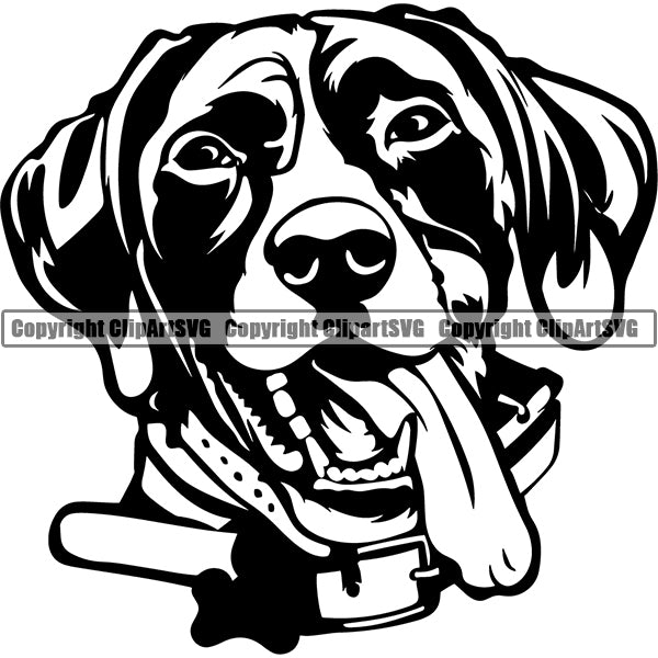 German Shorthaired Pointer Dog Breed Head Face ClipArt SVG 001