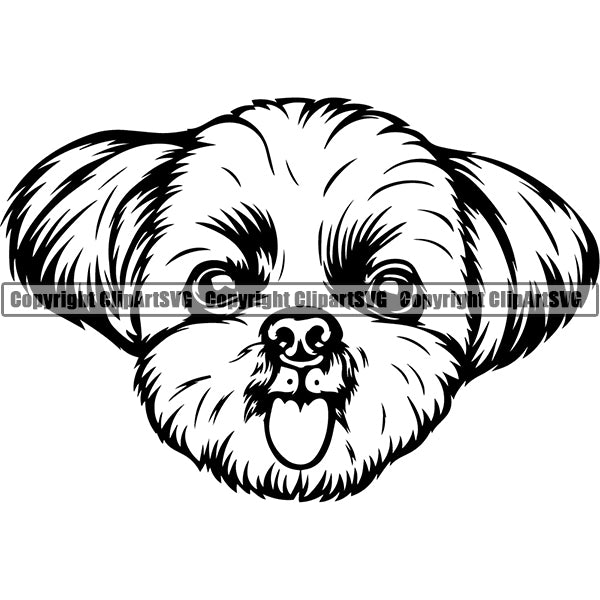Shih Tzu Dog Breed Head Face ClipArt SVG 003