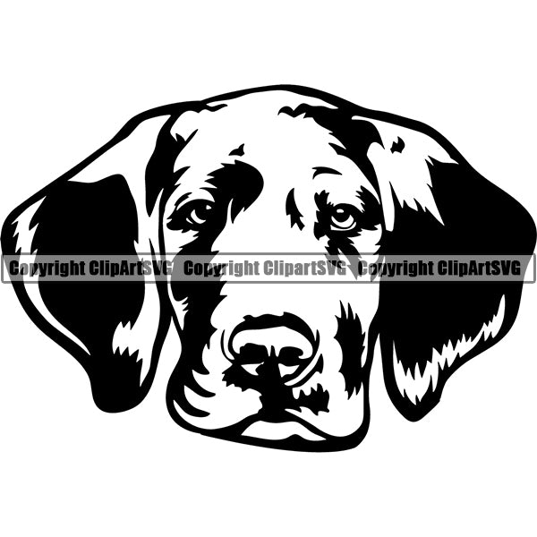 Great Dane Dog Breed Head Face ClipArt SVG 003