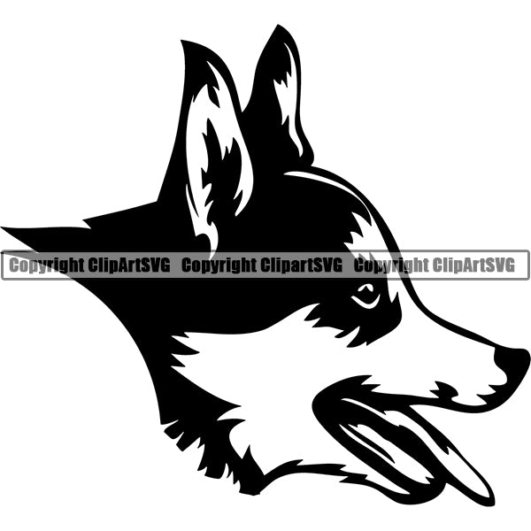 Pembroke Welsh Corgi Dog Breed Head Face ClipArt SVG 003