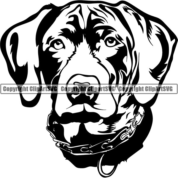 German Shorthaired Pointer Dog Breed Head Face ClipArt SVG 002