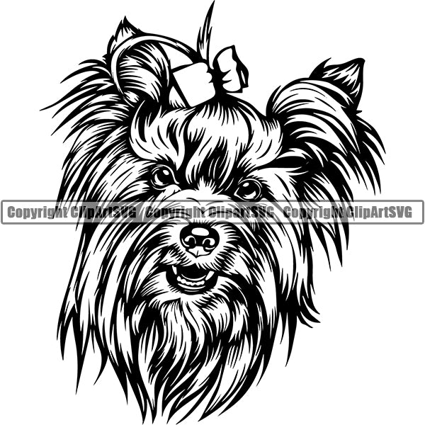 Yorkshire Terrier Dog Breed Head Face ClipArt SVG 005