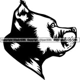 Pit Bull Dog Breed Head Face ClipArt SVG 002