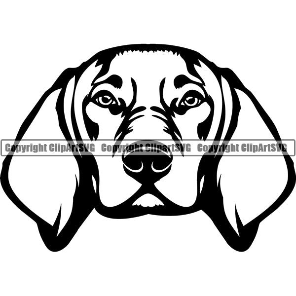Vizsla Dog Breed Head Face ClipArt SVG 002