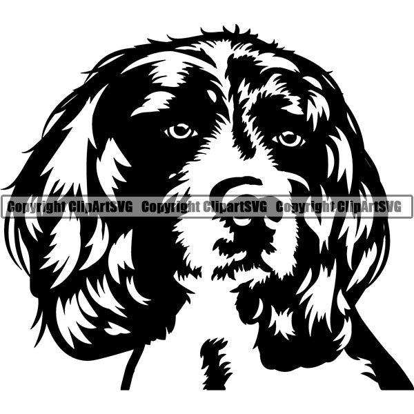 English Springer Spaniel Dog Breed Head Face ClipArt SVG 004