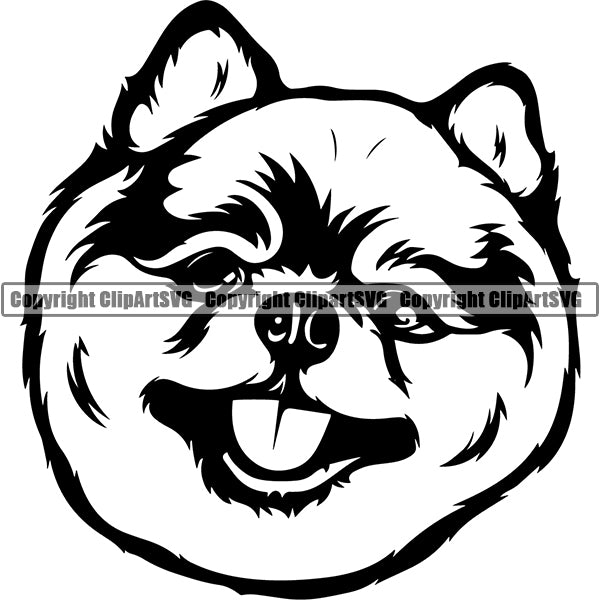 Pomeranian Dog Breed Head Face ClipArt SVG 005