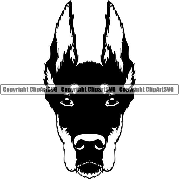 Animal Dog Doberman Dog Breed Head Face ClipArt SVG 002