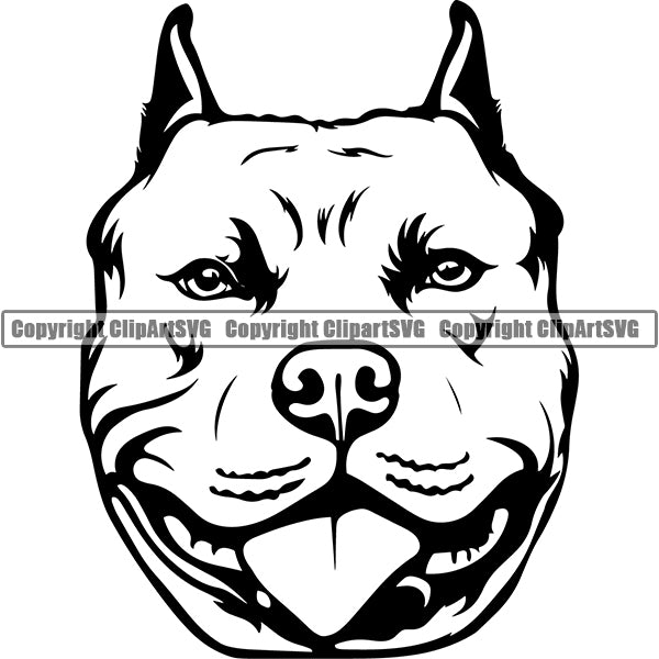 Pit Bull Dog Breed Head Face ClipArt SVG 012