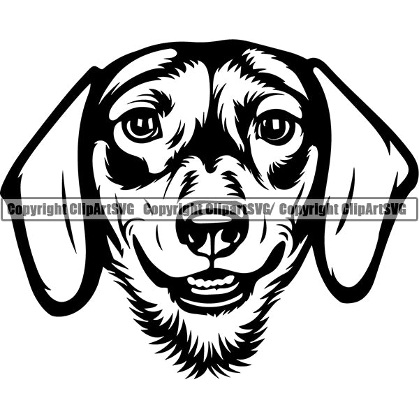 Animal Dog Dachshund Dog Breed Head Face ClipArt SVG 008