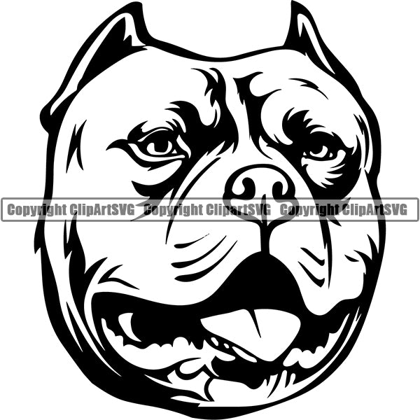 Pit Bull Dog Breed Head Face ClipArt SVG 023