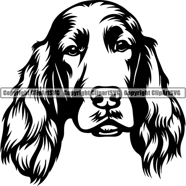 Irish Setter Dog Breed Head Face ClipArt SVG 001