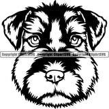 Schnauzer Dog Breed Head Face ClipArt SVG 011