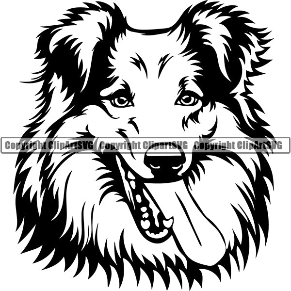 Shetland Sheepdog Dog Breed Head Face ClipArt SVG 006