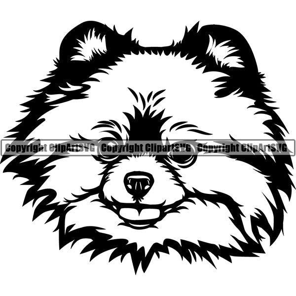 Pomeranian Dog Breed Head Face ClipArt SVG 001