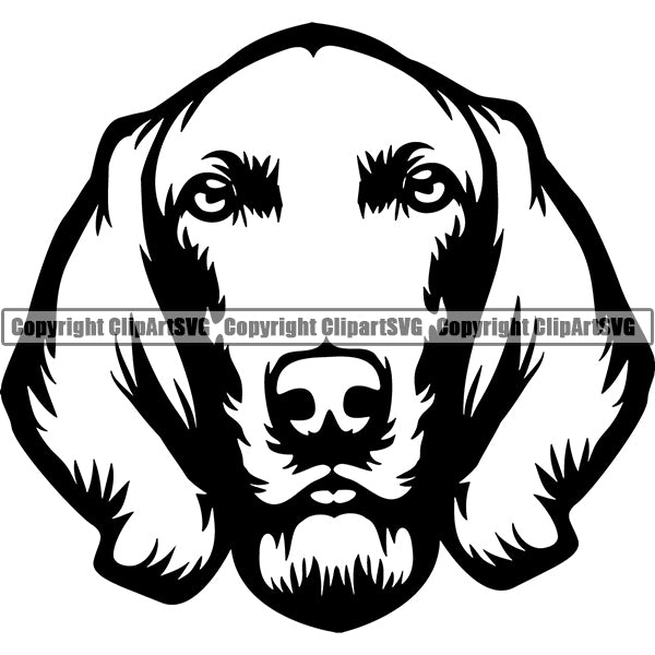 Weimaraner Dog Breed Head Face ClipArt SVG 002