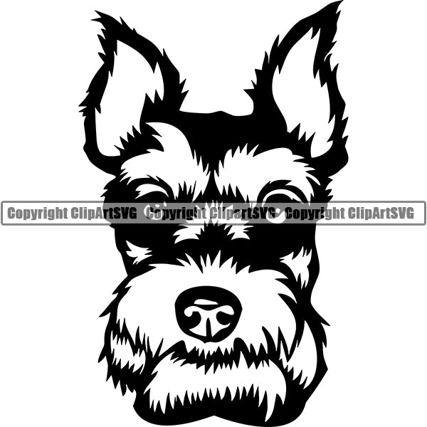 Schnauzer Dog Breed Head Face ClipArt SVG 004