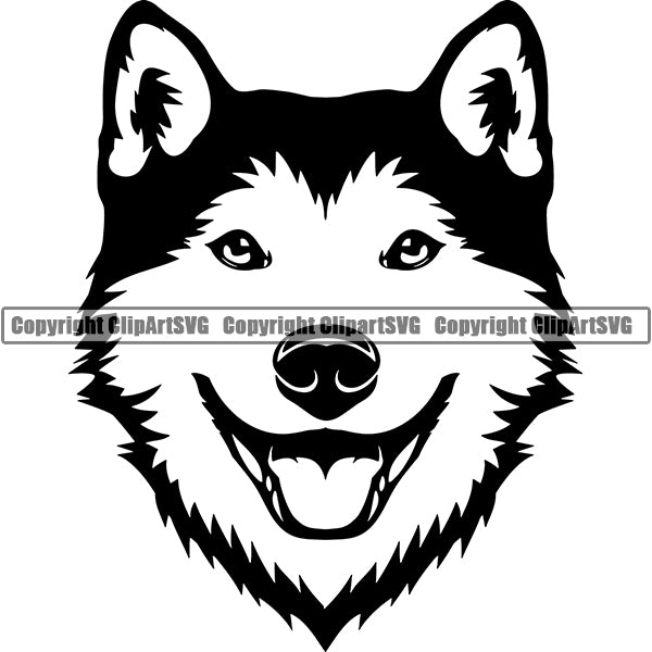 Shiba Inu Dog Breed Head Face ClipArt SVG 003