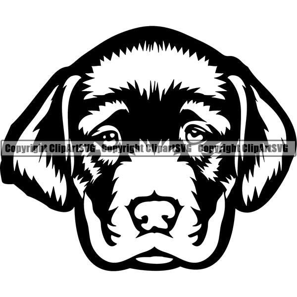 Labrador Retriever Dog Breed Head Face ClipArt SVG 001
