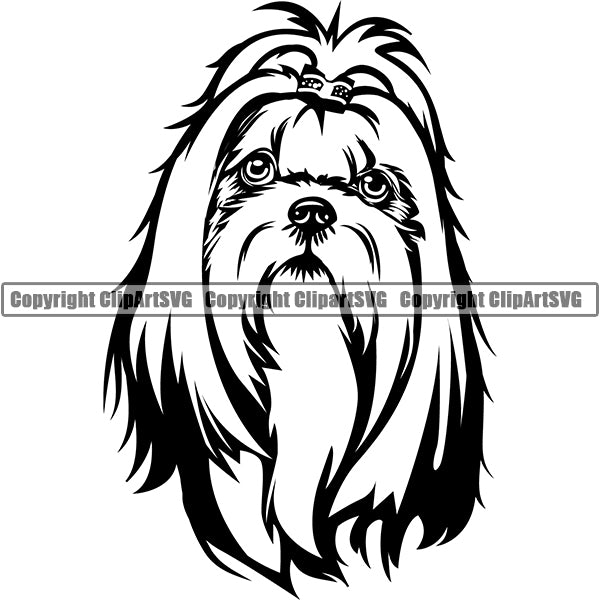Shih Tzu Dog Breed Head Face ClipArt SVG 006