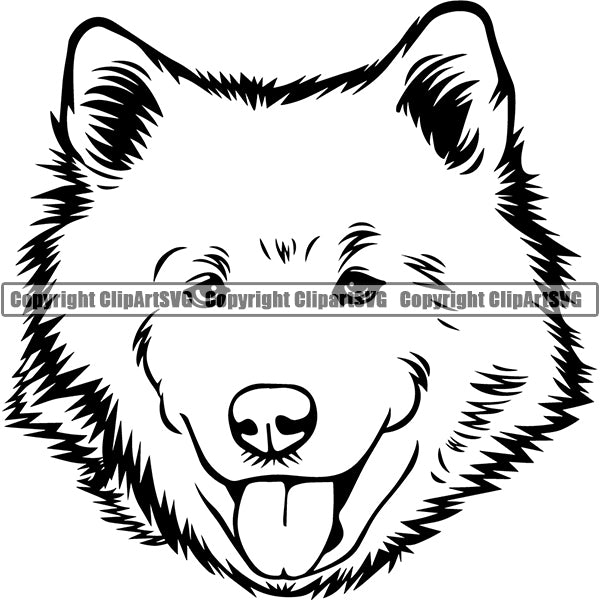 Samoyed Dog Breed Head Face ClipArt SVG 002