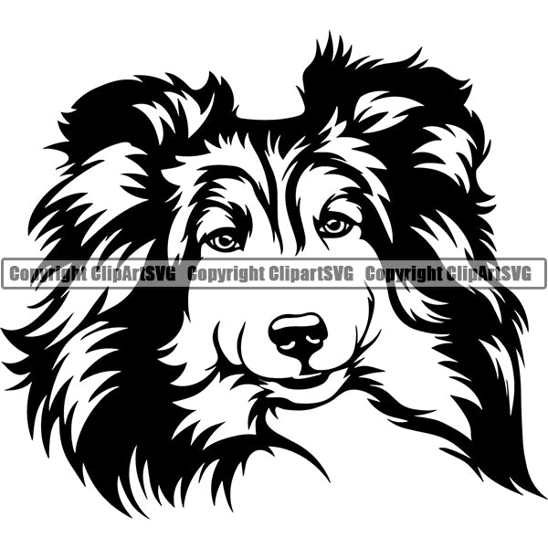 Shetland Sheepdog Dog Breed Head Face ClipArt SVG 005