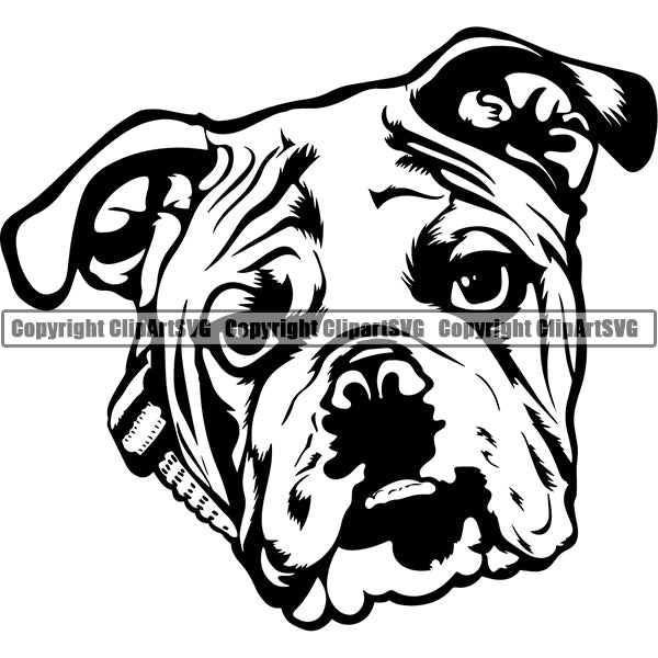 Animal Dog English Bulldog Dog Breed Head Face ClipArt SVG 010