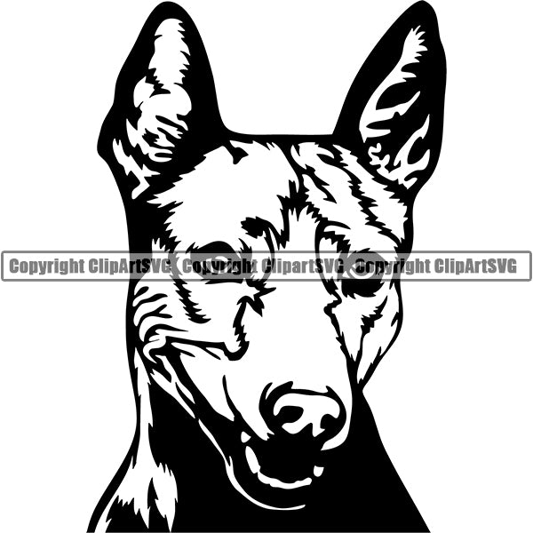 Thai Ridgeback Dog Breed Head Face ClipArt SVG 001