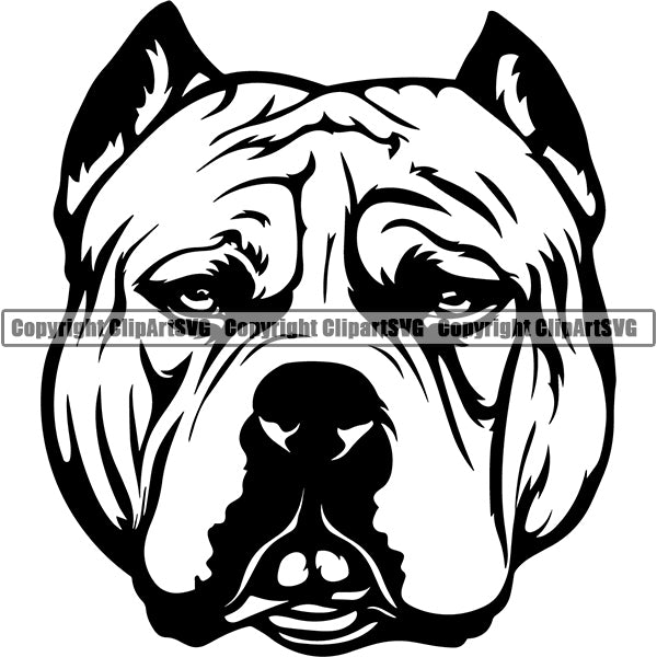 Pit Bull Dog Breed Head Face ClipArt SVG 014