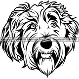 Labradoodle Dog Breed Head Face ClipArt SVG 004