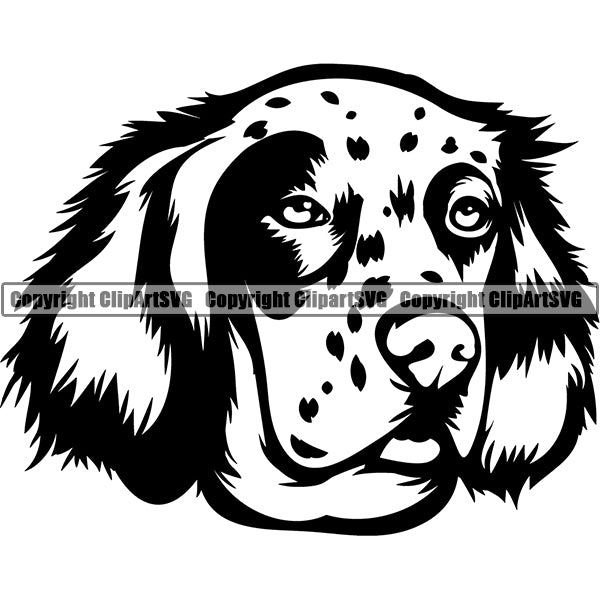 English Setter Dog Breed Head Face ClipArt SVG 001
