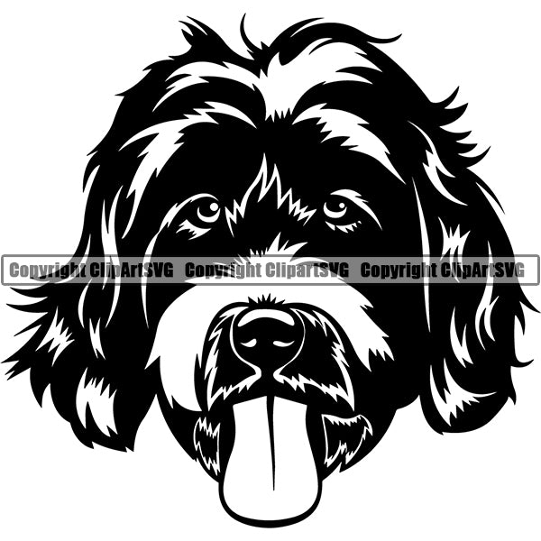 Labradoodle Dog Breed Head Face ClipArt SVG 003