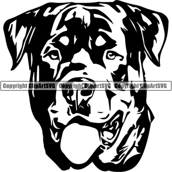 Rottweiler Dog Breed Head Face ClipArt SVG 011