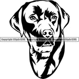 Labrador Retriever Dog Breed Head Face ClipArt SVG 006
